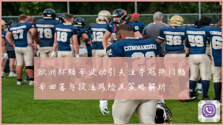 欧洲杯赔率波动引关注夺冠热门赔率回落与投注风险及策略解析