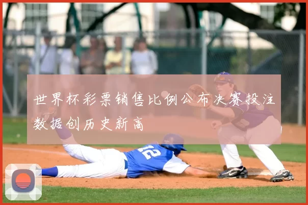 世界杯彩票销售比例公布决赛投注数据创历史新高