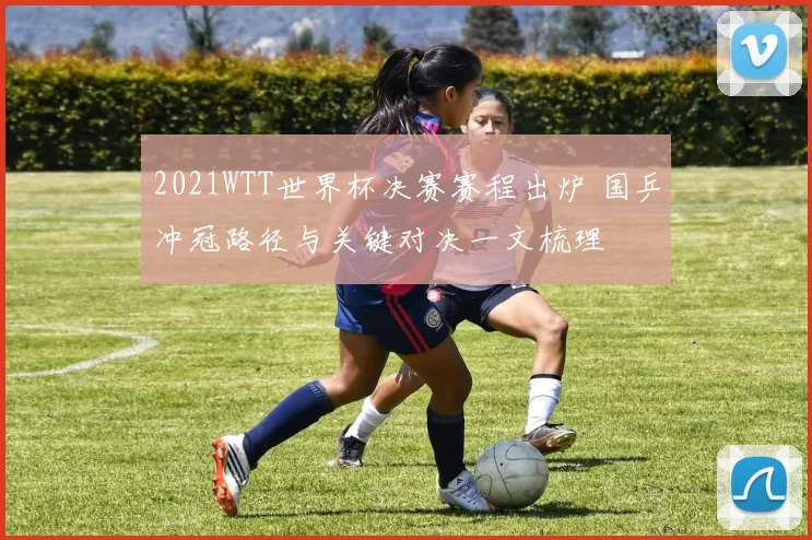 2021WTT世界杯决赛赛程出炉 国乒冲冠路径与关键对决一文梳理