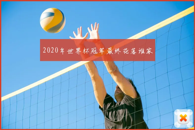 2020年世界杯冠军最终花落谁家