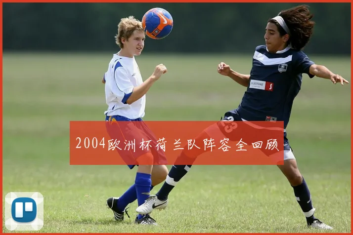 2004欧洲杯荷兰队阵容全回顾
